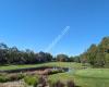 Palmer Gold Coast
