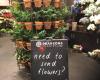 Pearsons Florist - Westfield Bondi