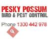 Pesky Possum Bird & Pest Control