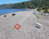 Petone Beach Dog Exercise Zone