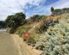 Porirua Public Library - Porirua City Council