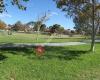 Raceway Park