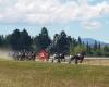 Rangiora Harness Racing Club