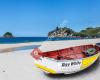 Ray White Whitianga