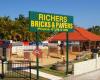 Richers Bricks & Pavers