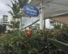 Ristorante Al Mare at the Moorings