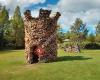 Royal Tasmanian Botanical Gardens