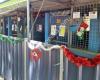 RSPCA - Lonsdale Shelter