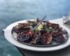 Sails Restaurant