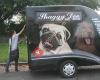 Shaggy Doo Mobile Dog Grooming