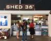 Shed 36°