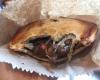 St Leonards Pies & Cakes
