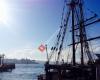 Sydney Harbour Tall Ships