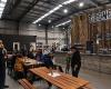 T-Bone Brewing Co.