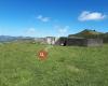 Tauhinu-Korokio Scenic Reserve