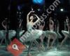 The Australian Ballet