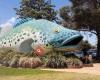 The Giant Murray Cod