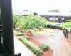 The Vines Resort & Country Club