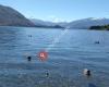 The Wanaka Wharf