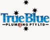 True Blue Plumbing