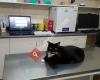 University Avenue Veterinary Hospital