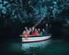 Waitomo Glowworm Caves