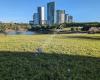 Waterview in Bicentennial Park