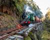 West Coast Wilderness Railway (Strahan)