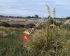 Wetlands Bottle-O Otatara