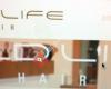 Wild Life Hair - Sogo