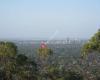 Windy Point Lookout