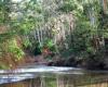 Yarra River Reserve