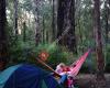 Yarragil Campsite