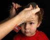 Ziggetty Snipits Kids Hairdresser & Nitpro Head Lice Salon - Robina